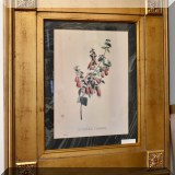 A38. Framed botanical print.